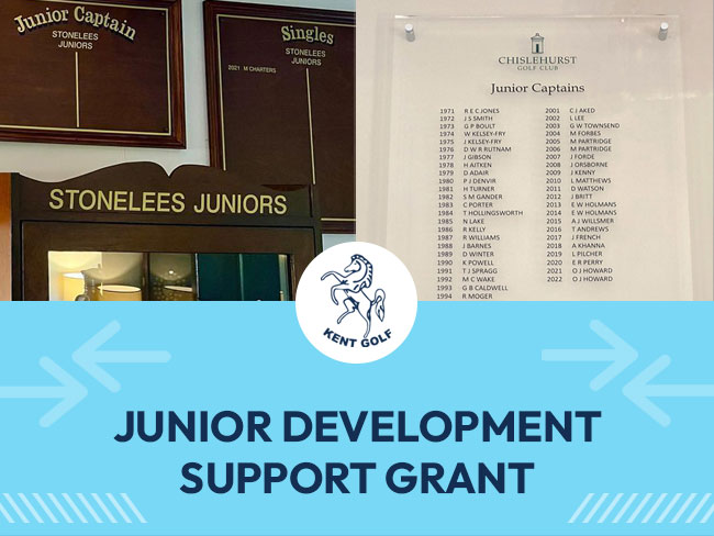 Junior Development Support Grant