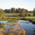 knole_park knole_park