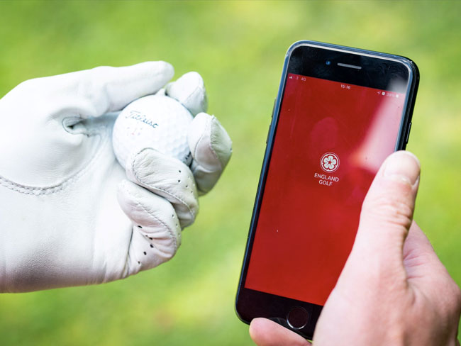 MyEG app