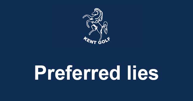 Preferred lies